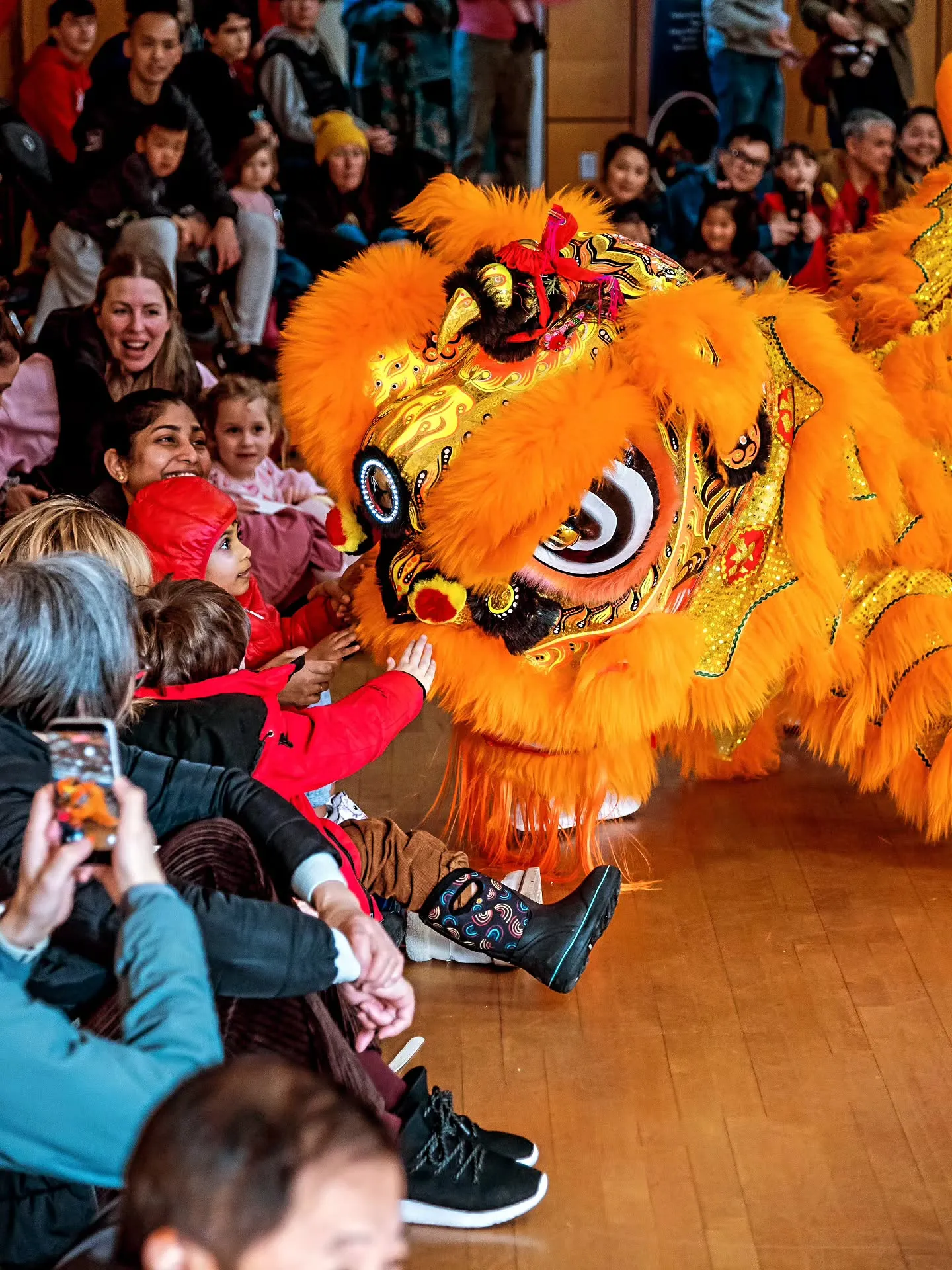 A child reaching toward a Hon Hsing lion during a performance