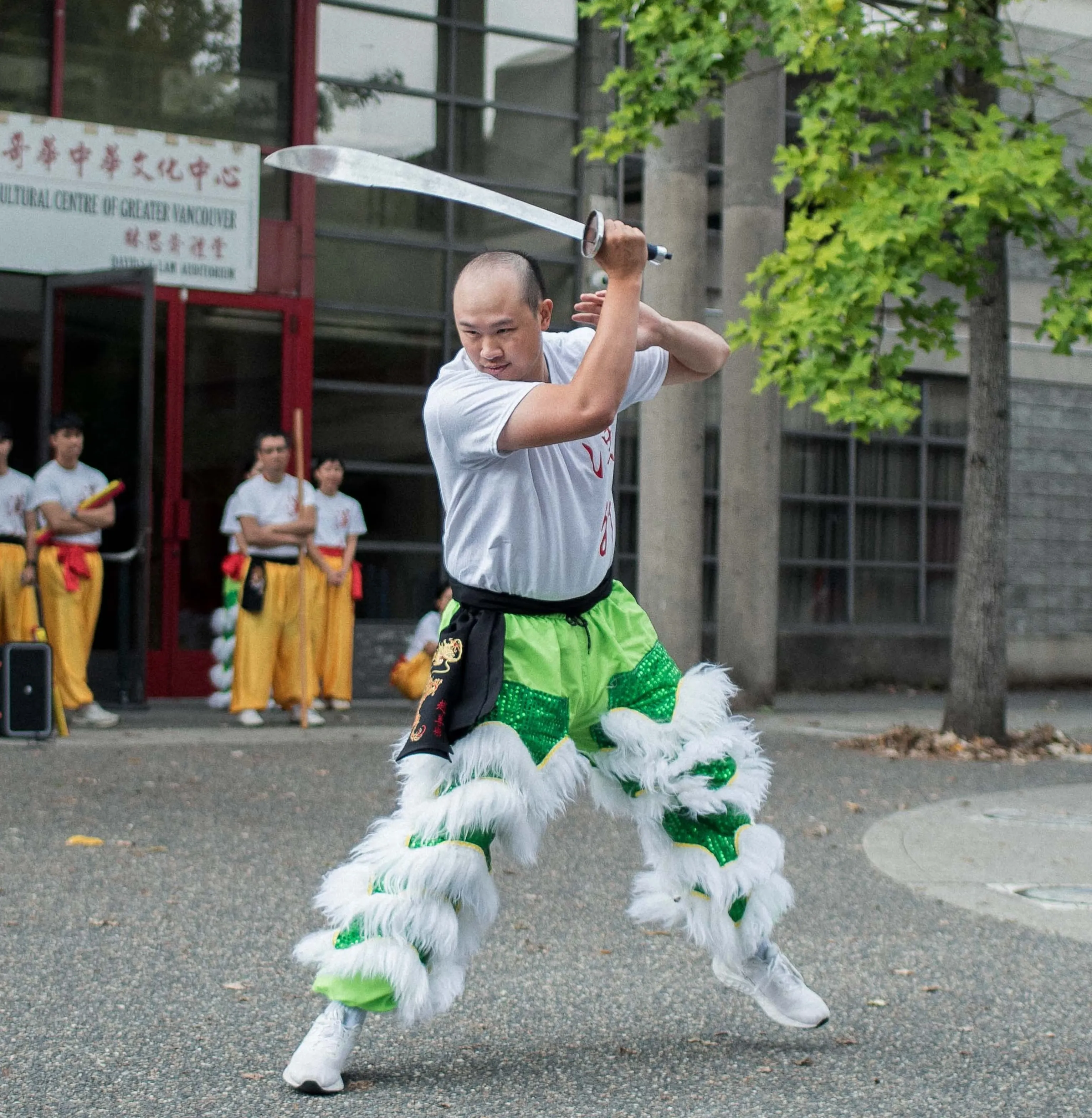 Traditional Choy Lee Fut kung fu training and weapons