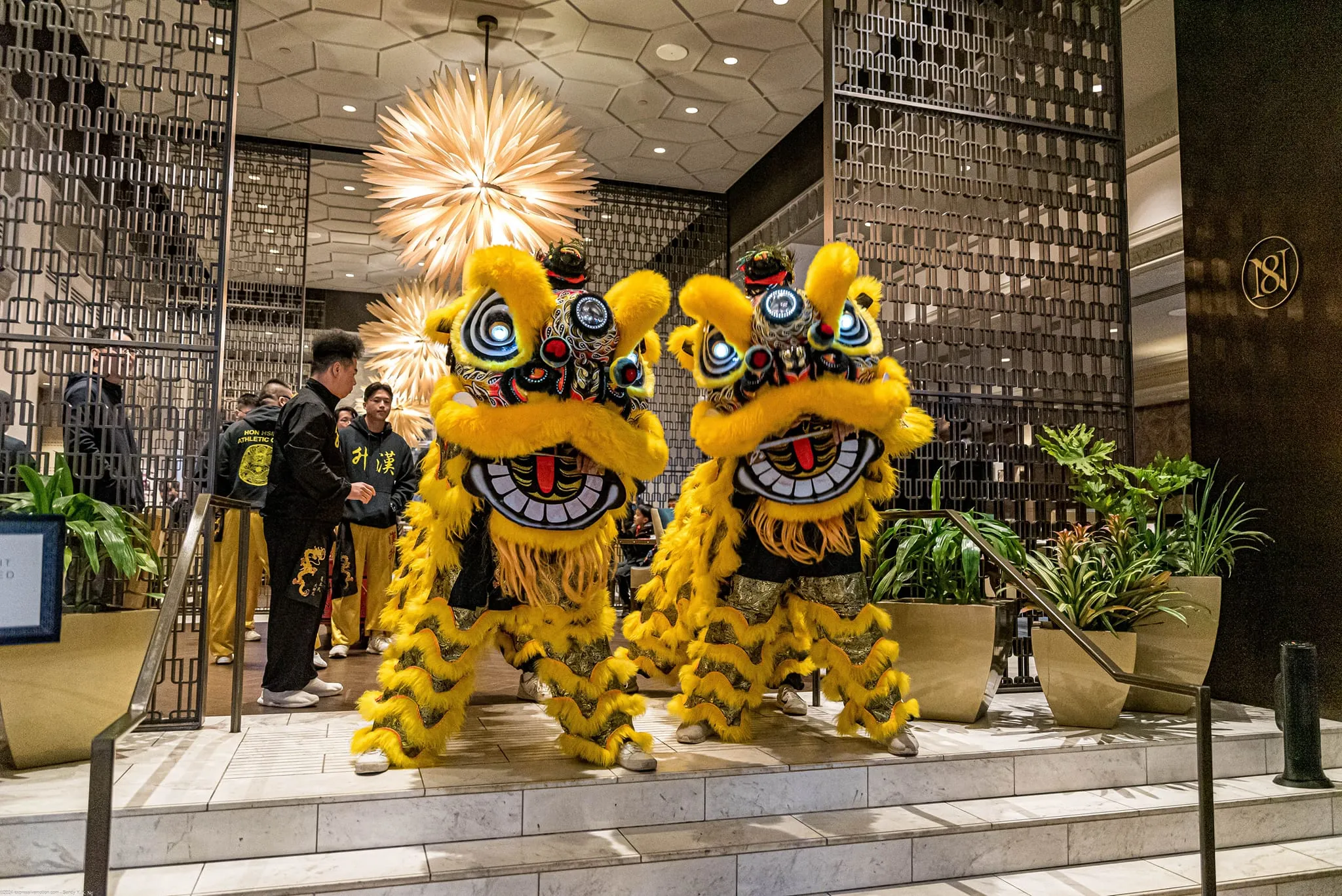 Lion dance at a grand opening ceremony